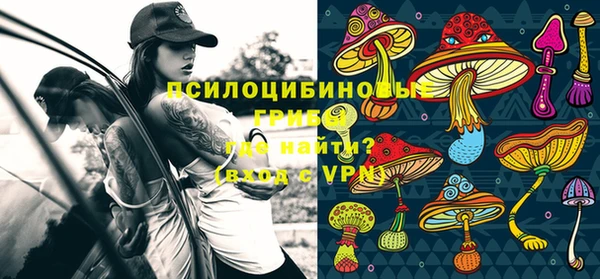 гидропоника Алзамай