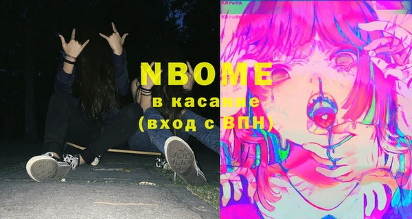 хмурый Алексин